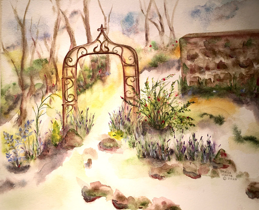 Sheila Horne  |  Herb Garden, Mentone  |  Watercolor